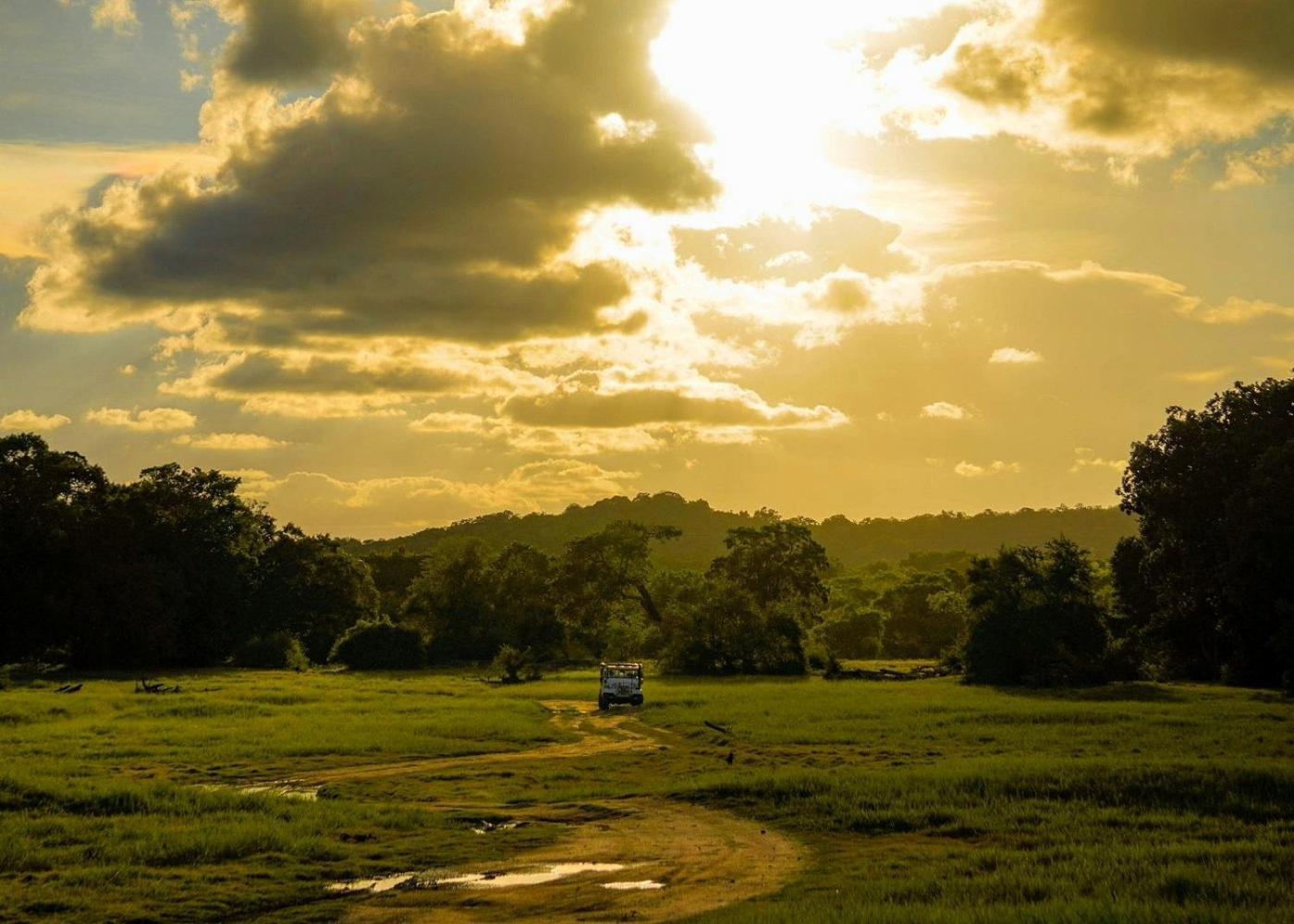 Lakmal Homestay ,10 Minutes To Sigiriya Rock Buitenkant foto